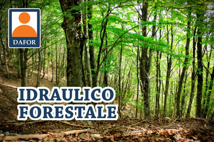 Corso OPERATORE di IDRAULICA FORESTALE
